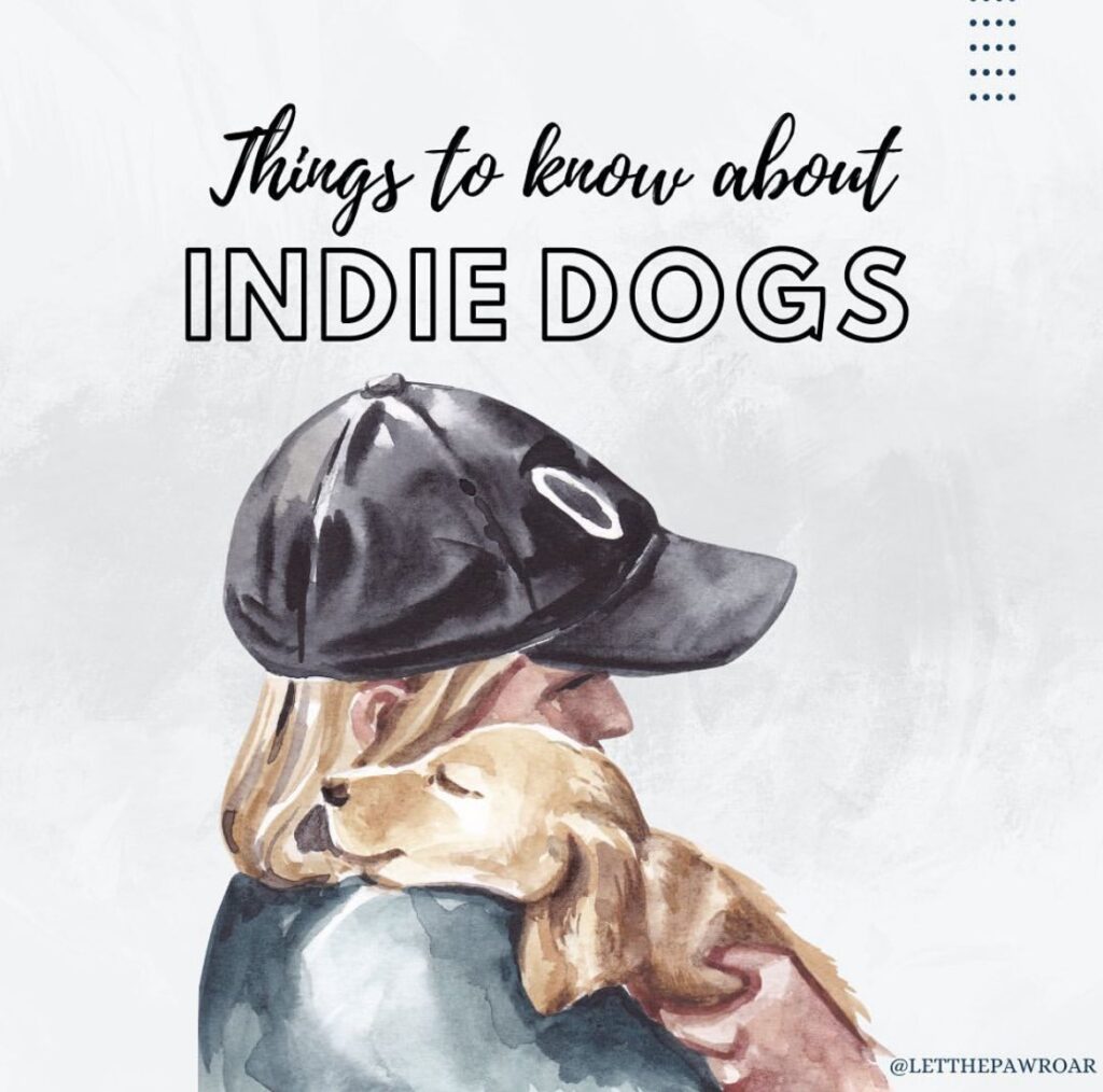 INDIE DOGS