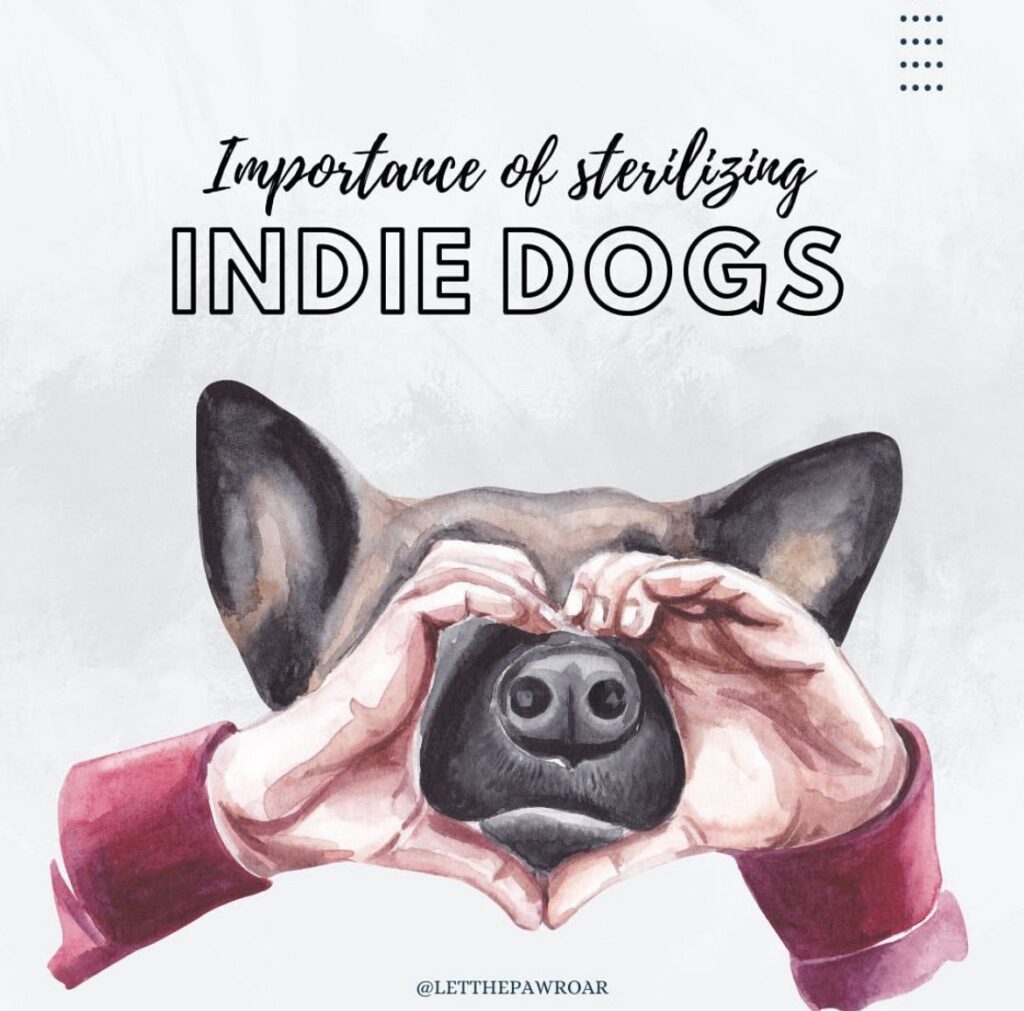Indie Dogs